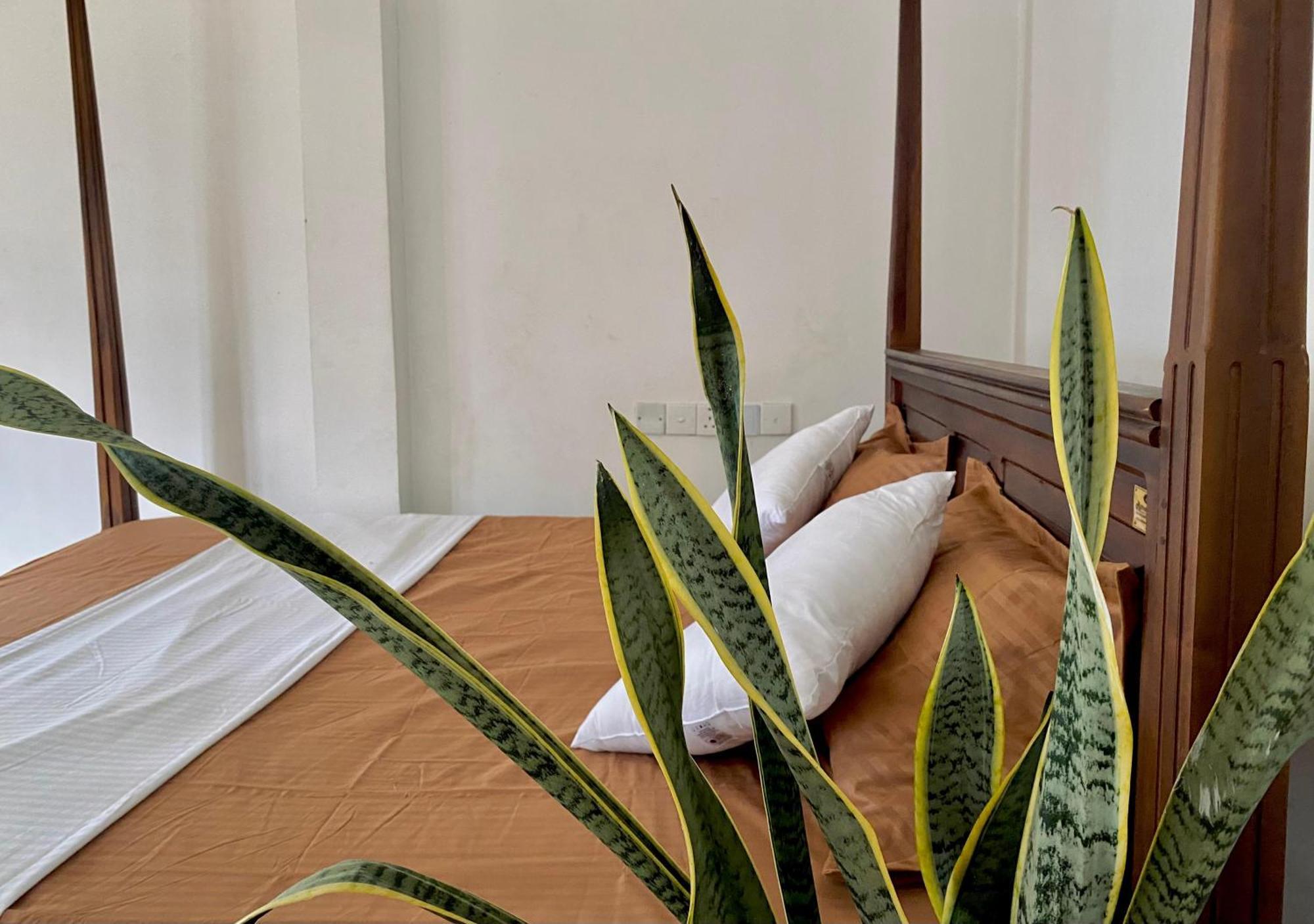 Sasmika Villa Surf And Yoga Hostel 웰리가마 외부 사진