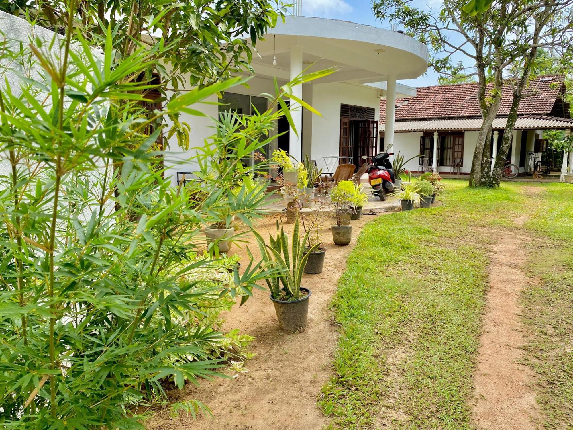 Sasmika Villa Surf And Yoga Hostel 웰리가마 외부 사진
