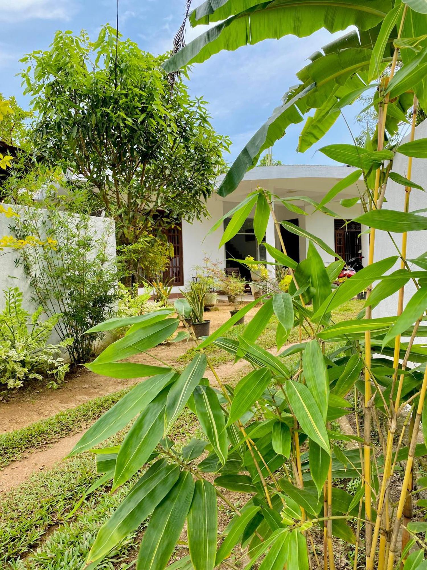 Sasmika Villa Surf And Yoga Hostel 웰리가마 외부 사진